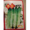 Sunshine Master Korean Cucumber 1 Pack seeds Asian White Green