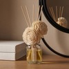 Aronica Reed Diffuser Oil Refill, 5.07oz, Midnight Jasmine - Fig
