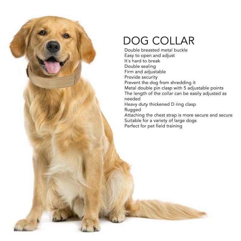 Military Dog Collar Adjustable Nylon Training Dog Collar with Heavy