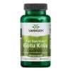Swanson Gotu Kola 435mg 60 Caps Mejora Circulacion