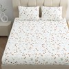 LINENWALAS 100% Cotton Percale Double Size Fitted Sheet Only, Printed