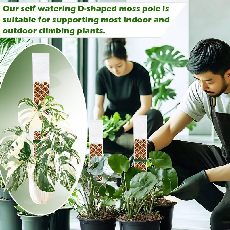MIIIM 4 Pcs Self-Watering Moss Poles, D Shape Moss Pole