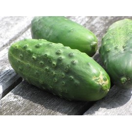 HeirloomSupplySuccess 25 Heirloom National Pickling Cucumber Seeds