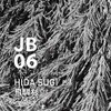 Hida Sugi Japanese Botanical Air Essential Oil, 10ml