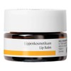 Dr Hauschka Lip Balm, 4.2g