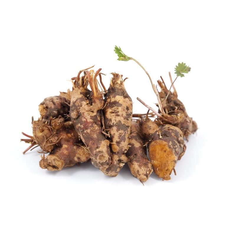 Tormentil Rhizome (Potentilla Erecta - Tormentillae Rhizoma) Health Embassy -