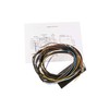 Wiring Harness with Wiring Diagram for Pannonia 250