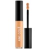 AMI COLÉ Skin-Enhancing Concealer (Medium 2.5)