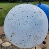 Bug Ball Mosquito Ball Deluxe Complete Kit - Biting Fly