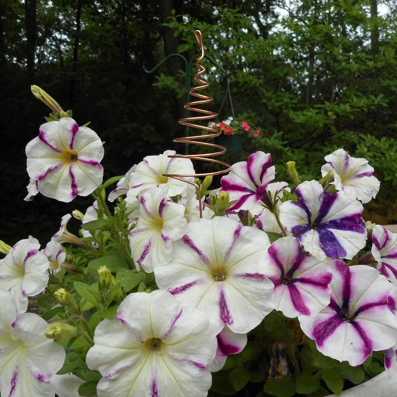 Electroculture Copper Gardening Antenna 2 Pack, Electroculture Copper Wire Coil