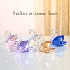 DOJOZ Crystal Swan A Pair Sweet Gifts Sparkle Figurine Collection