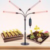 4-Head Table Top Grow Lights for Indoor Plants, Seed Starting,
