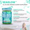 Clean Nutra SeaGlow Skin Glow Gummies – Sea Moss, Black