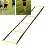 Speed Ladder for Football Footwork Training Exercising Equipment with Storage