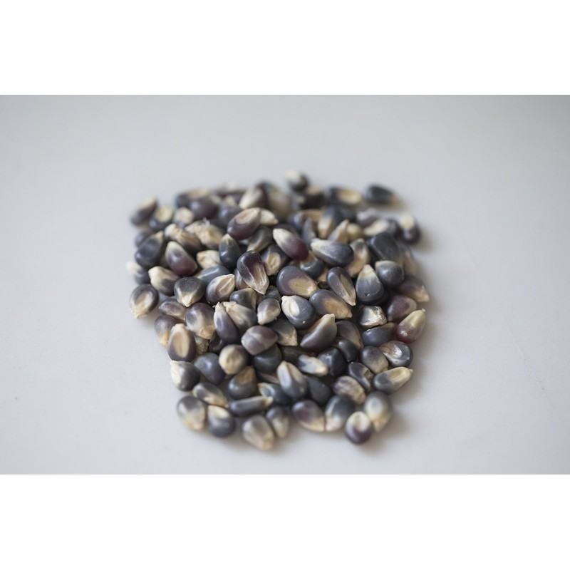 Amish Country Popcorn | 1 Lb Midnight Blue Kernels |