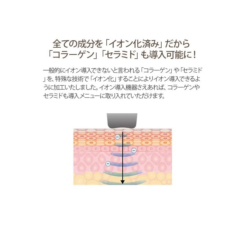 Prozbi Prime Ion Essence High Concentration Vitamin C 2.0 fl