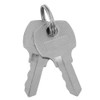 Fafeicy Key Switch 2 Positions Safety Button Lock Switch LAY37-11Y/21