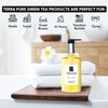Terra Pure Green Tea Shampoo 10.14oz Pump | Clean Honey