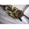 SmartyKat (3 Count) Fish Friends Crinkle Catnip Cat Toys -