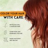 Ancient Veda Henna Hair Color Black (60 g / 2.11