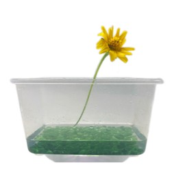 OEEKOI Sea Glass Stones, 0.88LB Glass Pebbles Marble Aquarium Fish Tank Rocks Gravel for Turtle Tank, Vase Fillers, DIY Crafts, and Home Decor-Green