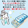 くば笠屋 ミントタブレット ミント缶 清涼菓子 沖縄県NEXT優良県産品 沖縄 お土産 ノベルティ 沖縄限定 OKINAWAミント缶