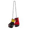 BENLEE Rocky Marciano Unisex_Adult Mini Miniature Boxing Gloves, Black, standard