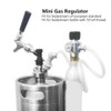 CO2 Mini Gas Regulator 0-90PSI Pressure Gauge with 5/16in Gas