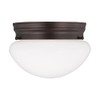 Generation Lighting 2-Light Webster Traditional Flush Mount Ceiling Light Bronze