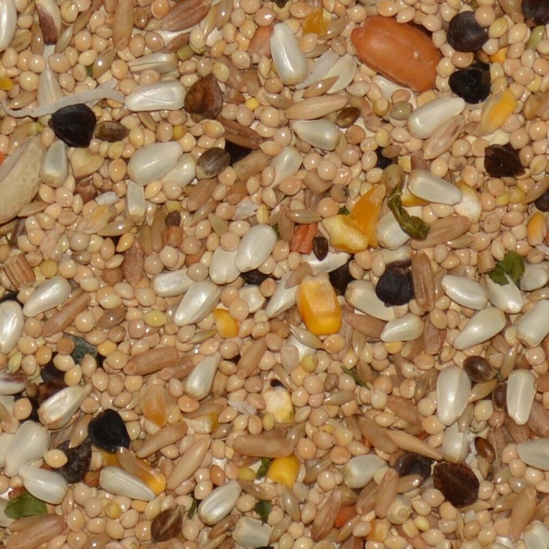 Volkman Avian Science Super Cockatiel Food No Sunflower Bird Seed