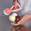 Piazza 6 x Ice Cream Scoop with Coloured Steel Stick