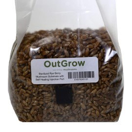 Sterilized Rye Berry Mushroom Substrate with Self Healing Injection Port (1)