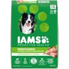 Iams Dry Dog Food IAMS Proactive Health Minichunks Adult Dry
