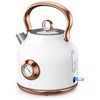 Retro Electric Kettle, 1.7L Stainless Steel Tea Kettle with Large