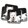 4 Set - West Highland Terrier Puppy Coaster - Westie