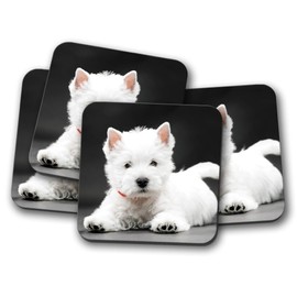 4 Set - West Highland Terrier Puppy Coaster - Westie Dog Cute White #15223