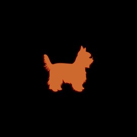Yorkshire Terrier Dog Silhouette Glow in The Dark Sticker Decal for Phone Tablet Laptop Car Truck Window | 4" Sticker | Orange