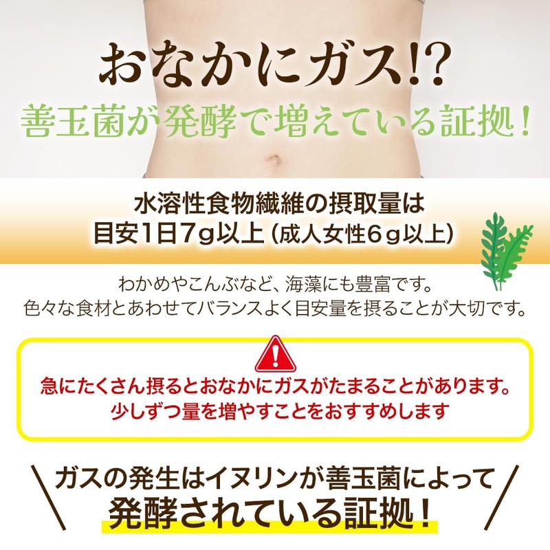 満ちる 菊芋の粒 190粒(約31日分) 熊本県産 菊芋 きくいも 水溶性食物繊維 イヌリン(3)