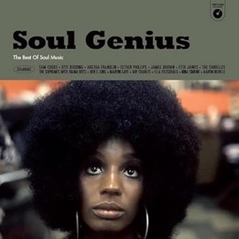 SOUL GENIUS - THE BEST OF SOUL MUSIC [VINYL]