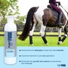 EquiFUSE Gleam Moisturizer + Shine Serum for Horses | detangles