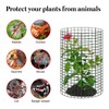 8 Pack 24'' x 12'' Large Wire Plant Protector from
