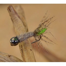 Region Fishing Tungsten Bead Peeping Caddis Jig Fly - Euro Nymph Flies - Hanak Hooks (6ct Hook #14)