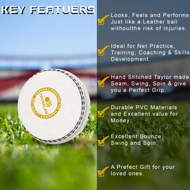 TrySalar Soft Cricket Rubber Ball Indoor/Outdoor for Junior Youth Adult Training, Coaching, Practice Excellent Bounce with Durable Traditional Seams Hand Stitched (White-1Pcs)