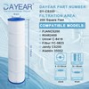 DAYEAR Pool Filter Cartridge Compatible with CS200, PJANCS200, C-8418, FC-0823,