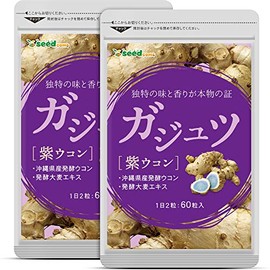 シードコムス ガジュツ 紫ウコン サプリメント 約6ヶ月分 360粒