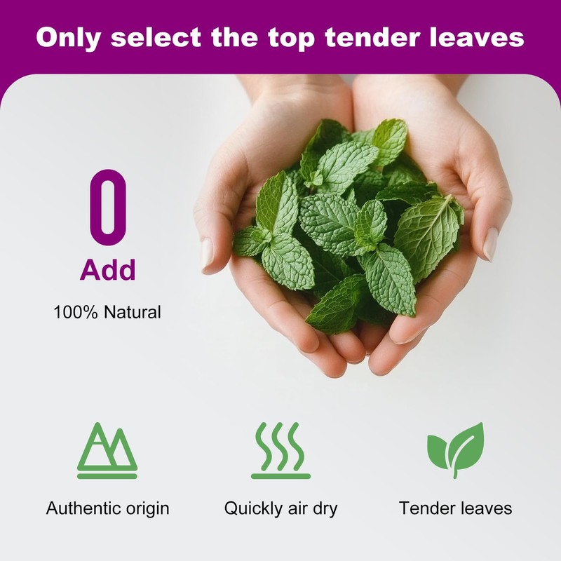 NZLOMXU Organic 100% Natural Catnip Cattle Grass Mint Taste Funny