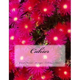 Cahier - Grand Format - 100 Pages - Collection Nature: Design Original 1