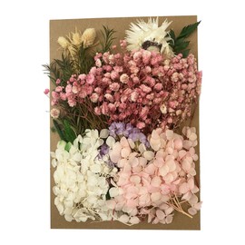 Cayway Dried Flower Dry Plants, Dried Flowers for Aromatherapy Candle, Real Dried Pressed Leaf Flowers for Candle Resin Jewelry Pendant Crafts Floral Decoration