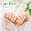 Lime Rose Handmade Nail Tips - Oval / 라임로즈 수제네일팁