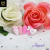Pink Jenny Handmade Nail Tips - Long Oval / 핑크제니
